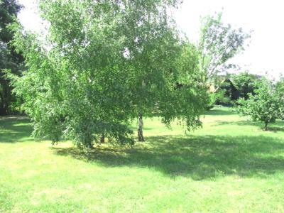 La Maison Tournesol - 3 Bedroom House With Large Garden Near Saumur Saint-Martin-de-la-Place Exterior foto