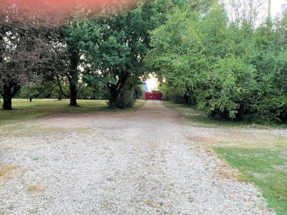 La Maison Tournesol - 3 Bedroom House With Large Garden Near Saumur Saint-Martin-de-la-Place Exterior foto